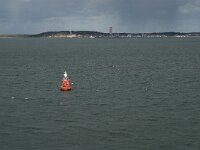 NL, Friesland, Terschelling, Waddenzee 1, Saxifraga-Jan van der Straaten