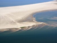 NL, Friesland, Vlieland, Vliehors 99, Saxifraga-Foto Fitis-Sytske Dijksen