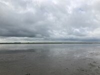 NL, Groningen, Het Hogeland, Pieterburen 34, Saxifraga-Willem van Kruijsbergen