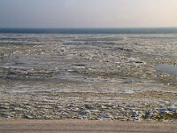 NL, Noord-Holland, Texel 100, Saxifraga-Foto Fitis-Sytske Dijksen