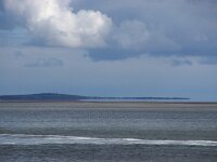 NL, Noord-Holland, Texel, Eierlandse Gat 9, Saxifraga-Foto Fitis-Sytske Dijksen
