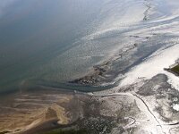 NL, Noord-Holland, Texel, Kwelder De Volharding 35, Saxifraga-Foto Fitis-Sytske Dijksen