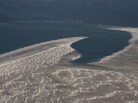 NL, Noord-Holland, Texel, Noorderhaaks 20, Saxifraga-Foto Fitis-Sytske Dijksen