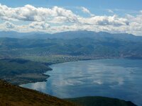 NMK, Ohrid, Galicica 6, Saxifraga-Foto Fitis-Sytske Dijksen