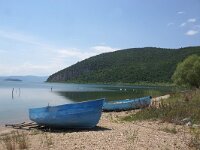 NMK, Ohrid, Pestani 13, Saxifraga-Foto Fitis-Sytske Dijksen