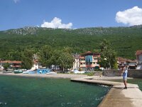 NMK, Ohrid, Pestani 15, Saxifraga-Foto Fitis-Sytske Dijksen