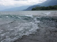 NMK, Ohrid, Sveti Naum 1, Saxifraga-Foto Fitis-Sytske Dijksen