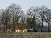 B, Limburg, Peer, Blijlever 13, Saxifraga-Jan van der Straaten