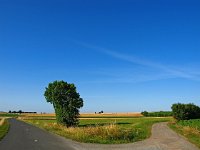 F, Charente Maritime, Dampierre-sur-Boutonne 1, Saxifraga-Hans Dekker