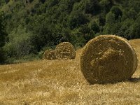 F, Isere, Mayres-Savel 1, Saxifraga-Marijke Verhagen