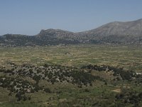 GR, Crete, Lasithi, Lasithi Plain 2, Saxifraga-Willem van Kruijsbergen