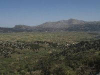 GR, Crete, Lasithi, Lasithi Plain 3, Saxifraga-Willem van Kruijsbergen