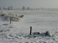 NL, Noord-Brabant, Alphen-Chaam, Bleeke Heide 5, Saxifraga-Jan van der Straaten