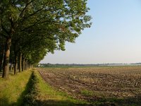 NL, Noord-Brabant, Deurne, Deurnese Peel 4, Saxifraga-Harry van Oosterhout : akker, maisstoppels, mais, kassen, De Peel