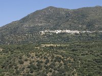GR, Crete, Lasithi, Tourloti 1, Saxifraga-Willem van Kruijsbergen