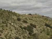 E, Granada, Cadiar 20, Saxifraga-Willem van Kruijsbergen