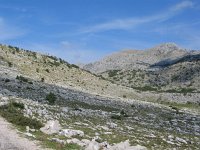 HR, Split Dalmatia County, Maraska, Biokovo mountains 1, Saxifraga-Jasenka Topic