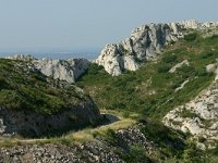 F, Bouches-du-Rhone, Saint Remy-de-Provence, Alpilles 15, Saxifraga-Dirk Hilbers