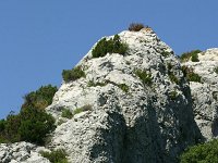 F, Bouches-du-Rhone, Saint Remy-de-Provence, Alpilles 4, Saxifraga-Dirk Hilbers