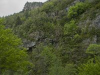 F, Gard, Treves, Gorges du Trevezel 2, Saxifraga-Willem van Kruijsbergen