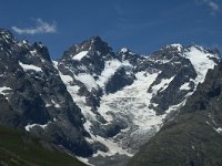 F, Hautes-Alpes, La Grave, Meije 1, Saxifraga-Marijke Verhagen