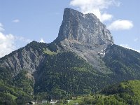 F, Isere, Gresse-en-Vercors, Mont Aiguille 15, Saxifraga-Jan van der Straaten