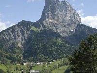 F, Isere, Gresse-en-Vercors, Mont Aiguille 19, Saxifraga-Marijke Verhagen