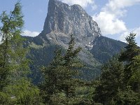 F, Isere, Gresse-en-Vercors, Mont Aiguille 23, Saxifraga-Marijke Verhagen