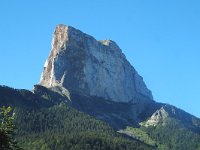 F, Isere, Gresse-en-Vercors, Mont Aiguille 4, Saxifraga-Jan van der Straaten