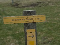 F, Lozere, Le Pont-de-Montvert, Sommet de Finiels 25, Saxifraga-Willem van Kruijsbergen