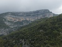 F, Vaucluse, Sault, Gorges de la Nesque, Rocher du Cire 3, Saxifraga-Willem van Kruijsbergen