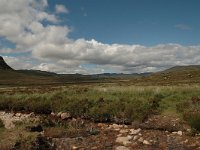 GB, Highland, Portree, Cuillin hills 6,  Saxifraga-Bas Klaver