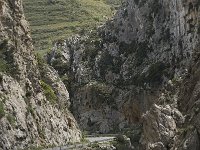 GR, Crete, Rethimnon, Frati, Kourtaliotiko Gorge 2, Saxifraga-Willem van Kruijsbergen