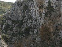 GR, Crete, Rethimnon, Frati, Kourtaliotiko Gorge 3, Saxifraga-Willem van Kruijsbergen