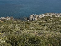 GR, Crete, Rethimnon, Limni 22, Saxifraga-Willem van Kruijsbergen
