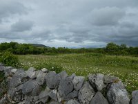 IRL, Clare County, The Burren 2, Saxifraga-Kees Laarhoven