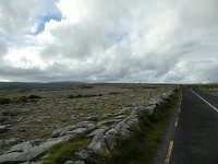 IRL, Clare County, The Burren 4, Saxifraga-Kees Laarhoven