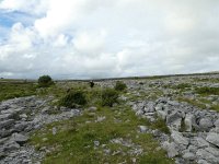 IRL, Clare County, The Burren 9, Saxifraga-Kees Laarhoven