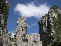 I, Belluno, Livinallongo del Col di Lana, Arabba, Bec de Roces 10, Saxifraga-Willem van Kruijsbergen