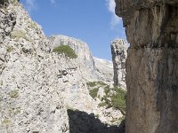 I, Belluno, Livinallongo del Col di Lana, Arabba, Bec de Roces 12, Saxifraga-Willem van Kruijsbergen