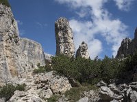 I, Belluno, Livinallongo del Col di Lana, Arabba, Bec de Roces 13, Saxifraga-Willem van Kruijsbergen