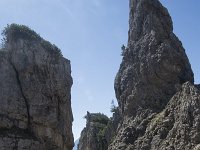I, Belluno, Livinallongo del Col di Lana, Arabba, Bec de Roces 14, Saxifraga-Willem van Kruijsbergen