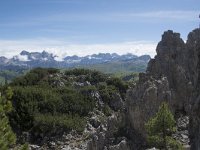 I, Belluno, Livinallongo del Col di Lana, Arabba, Bec de Roces 15, Saxifraga-Willem van Kruijsbergen