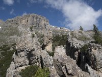 I, Belluno, Livinallongo del Col di Lana, Arabba, Bec de Roces 17, Saxifraga-Willem van Kruijsbergen