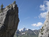 I, Belluno, Livinallongo del Col di Lana, Arabba, Bec de Roces 2, Saxifraga-Willem van Kruijsbergen