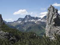 I, Belluno, Livinallongo del Col di Lana, Arabba, Bec de Roces 22, Saxifraga-Willem van Kruijsbergen