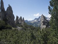 I, Belluno, Livinallongo del Col di Lana, Arabba, Bec de Roces 23, Saxifraga-Willem van Kruijsbergen