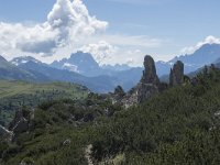 I, Belluno, Livinallongo del Col di Lana, Arabba, Bec de Roces 26, Saxifraga-Willem van Kruijsbergen