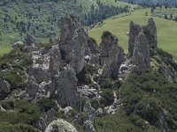 I, Belluno, Livinallongo del Col di Lana, Arabba, Bec de Roces 31, Saxifraga-Willem van Kruijsbergen