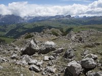 I, Belluno, Livinallongo del Col di Lana, Arabba, Bec de Roces 34, Saxifraga-Willem van Kruijsbergen